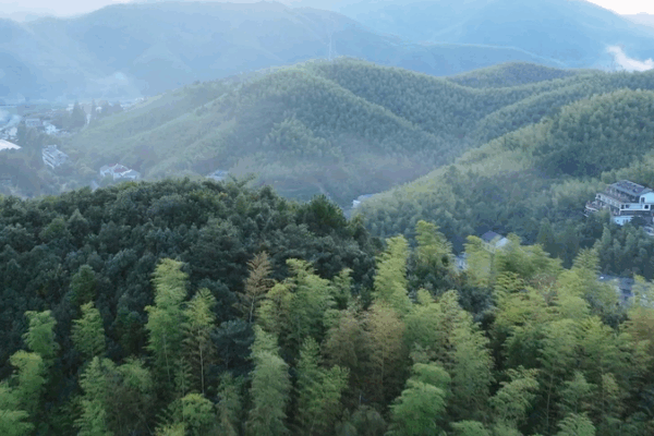 Discover Moganshan: The ‘Hamptons of China’ Getaway Discover_Moganshan__The__Hamptons_of_China__Getaway video poster