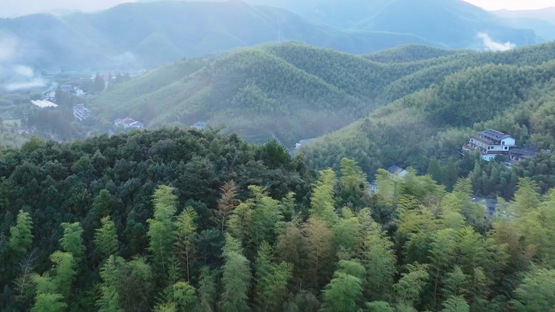 Discover_Moganshan__The__Hamptons_of_China__Getaway video poster