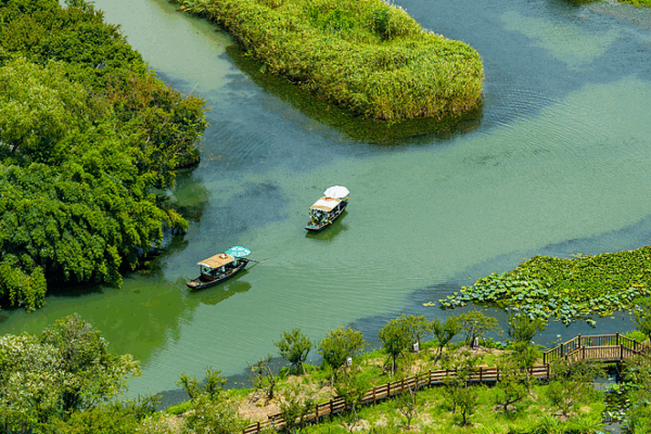 Discover Serenity at Xixi National Wetland Park Discover_Serenity_at_Xixi_National_Wetland_Park video poster