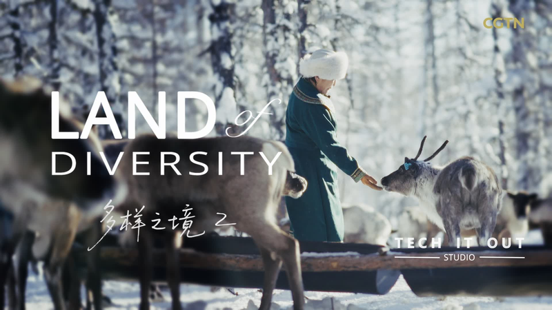 Ewenki_Reindeer_Sprint_to_Freedom_in_the_Greater_Hinggan_Range video poster
