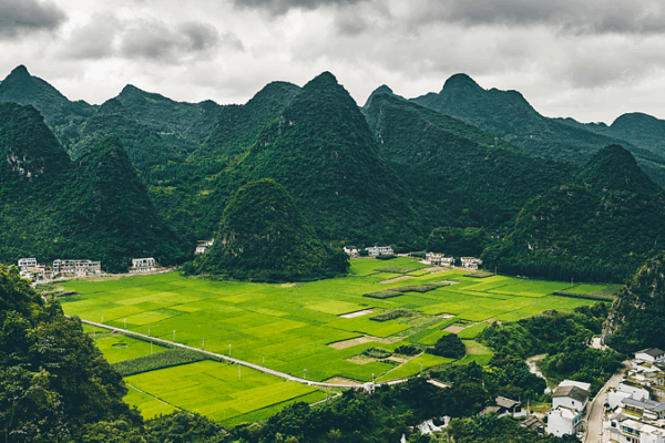 Explore Wanfenglin: China’s Epic Karst Forest Explore_Wanfenglin__China_s_Epic_Karst_Forest video poster