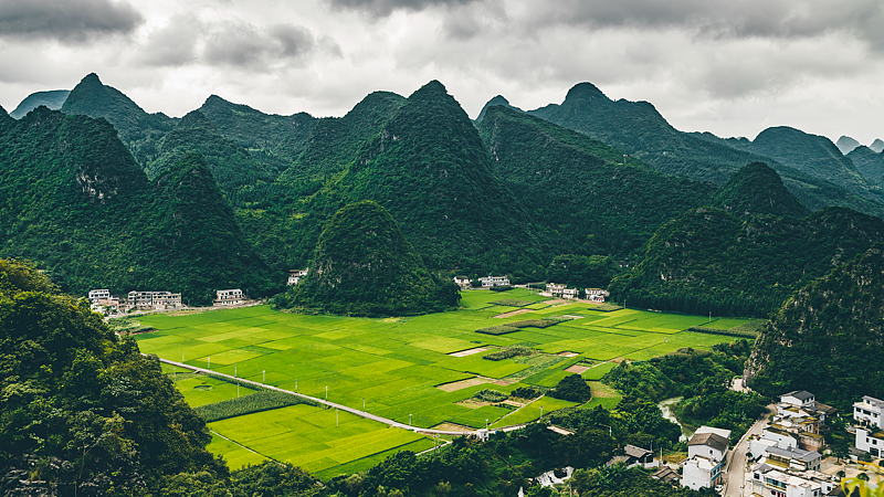 Explore_Wanfenglin__China_s_Epic_Karst_Forest video poster
