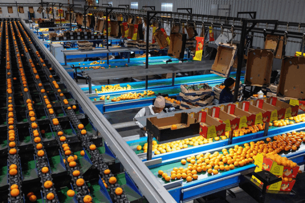 Trump’s Tariff Wave: Global Trade in Turbulence!