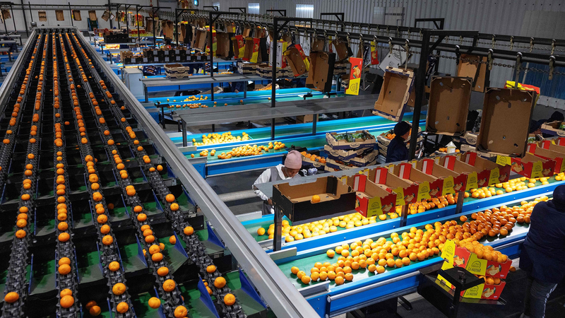 FUDGYWZJFD7HNMOH49GR - News for amigos, by amigos Trump’s Tariff Wave: Global Trade in Turbulence!