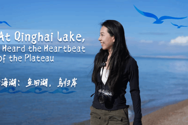 Feeling the Heartbeat of the Plateau at Qinghai Lake Feeling_the_Heartbeat_of_the_Plateau_at_Qinghai_Lake video poster