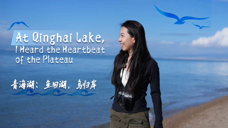 Feeling_the_Heartbeat_of_the_Plateau_at_Qinghai_Lake video poster
