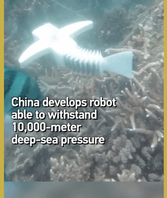 Fish-Inspired Robot Conquers 10,000m Deep-Sea Pressure Fish_Inspired_Robot_Conquers_10_000m_Deep_Sea_Pressure video poster
