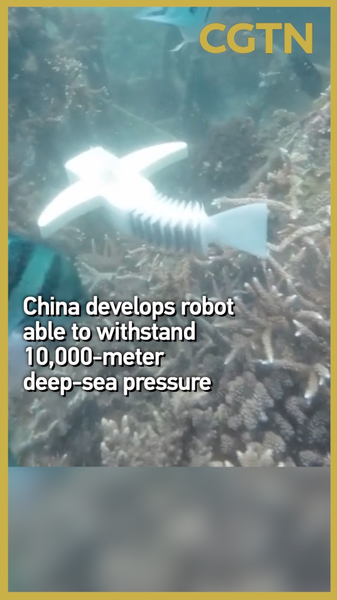 Fish_Inspired_Robot_Conquers_10_000m_Deep_Sea_Pressure video poster