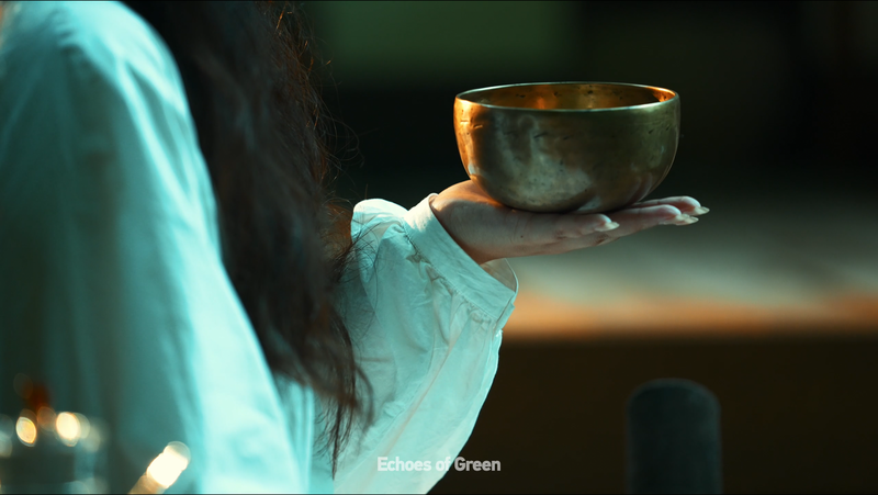 Forest_Echoes__A_New_Generation_Finds_Healing_in_Nature video poster