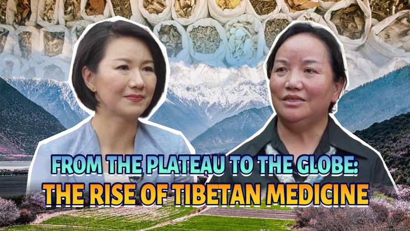 From_Plateau_to_Planet__The_Global_Rise_of_Tibetan_Medicine video poster