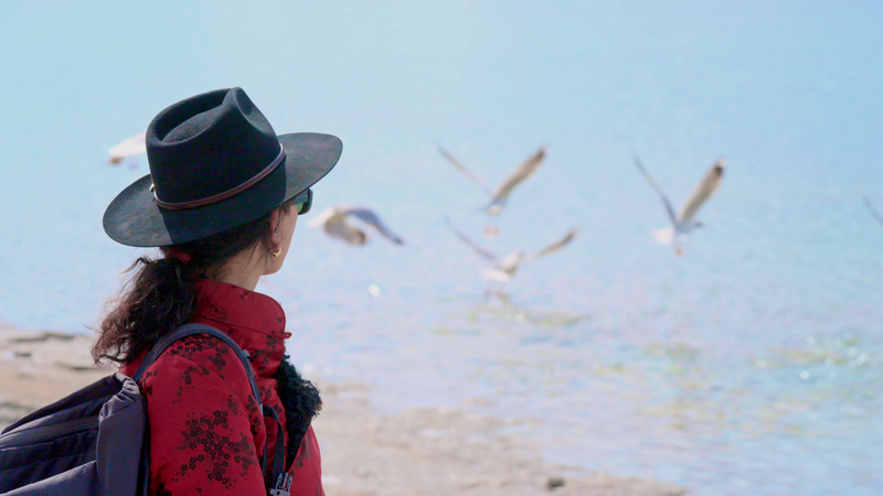From Serf Roots to Social Change: Education Empowers Women in Xizang From_Serf_Roots_to_Social_Change__Education_Empowers_Women_in_Xizang video poster