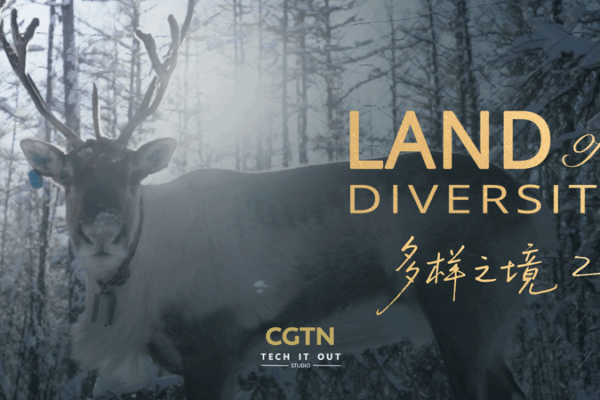 Frozen Frontiers: The Evenki and Their Reindeer Frozen_Frontiers__The_Evenki_and_Their_Reindeer video poster