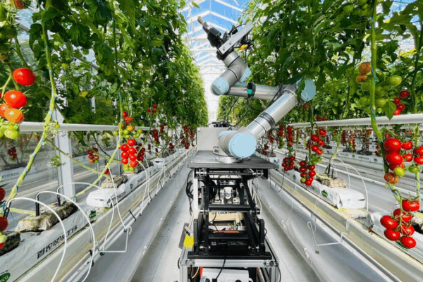 GEAIR: The Chinese mainland’s First Plant-Breeding Robot Revolution GEAIR: The Chinese mainland’s First Plant-Breeding Robot Revolution