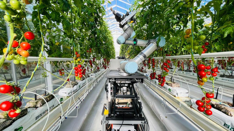 GW5MLNFCPWPWZD7LFE1B - News for amigos, by amigos GEAIR: The Chinese mainland’s First Plant-Breeding Robot Revolution