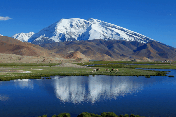 High-Altitude Heroes: Chinese-Tajik Mission to Protect Marco Polo Sheep High_Altitude_Heroes__Chinese_Tajik_Mission_to_Protect_Marco_Polo_Sheep