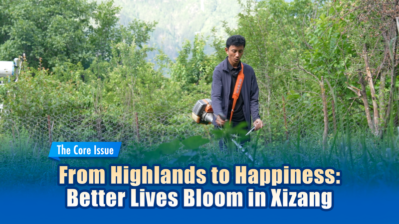 Highlands to Happiness: Better Lives Bloom in Xizang Highlands_to_Happiness__Better_Lives_Bloom_in_Xizang video poster