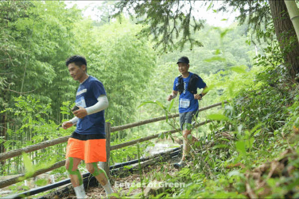 Hit the Trails: Green Running in Anji’s Bamboo Forests Hit_the_Trails__Green_Running_in_Anji_s_Bamboo_Forests video poster