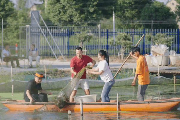 How Drones and AI Are Helping Albino Crabs Thrive in Lake Taihu How_Drones_and_AI_Are_Helping_Albino_Crabs_Thrive_in_Lake_Taihu video poster