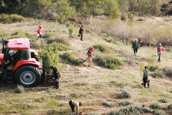 How Locals Turned the Mu Us Desert Green How_Locals_Turned_the_Mu_Us_Desert_Green
