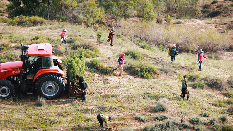 How_Locals_Turned_the_Mu_Us_Desert_Green