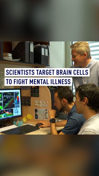 Hungarian_Scientists_Discover_Brain_Cells_That_Curb_Negative_Emotions_poster - News for amigos, by amigos Hungarian_Scientists_Discover_Brain_Cells_That_Curb_Negative_Emotions video poster