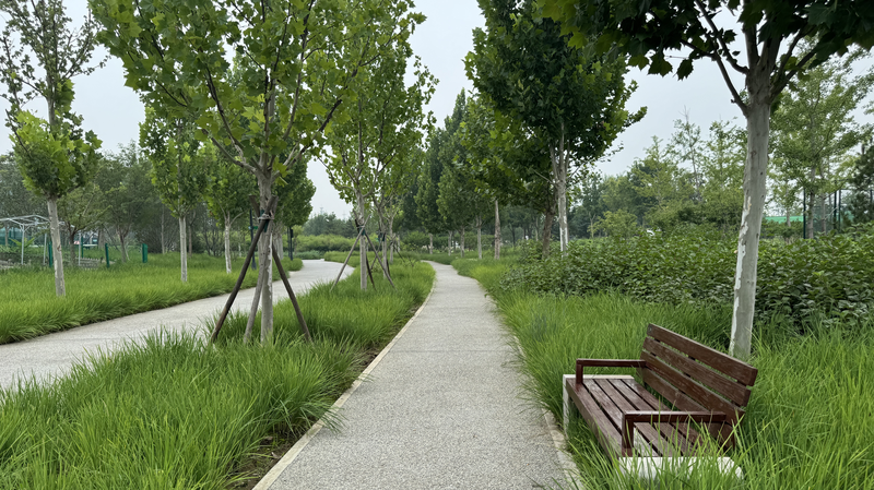 Beijing’s Central Green Forest Park: From Wasteland to Green Wonder video poster