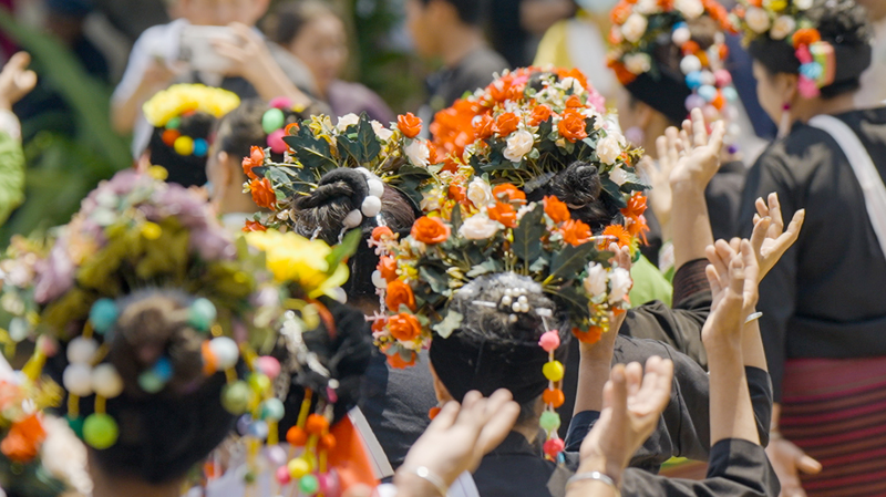 Beneath the Canopy: Jingmai Mountain’s Ancient Tea Forests Unite Five Ethnic Groups