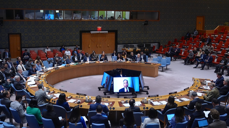 UNSC Condemns Israel’s Gaza City Plan as Crisis Looms