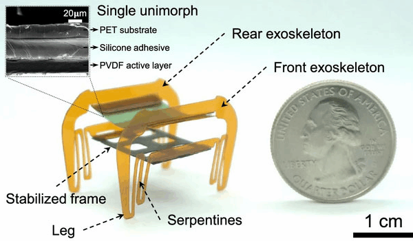 Meet the Electronic Cockroach Microbot Meet_the_Electronic_Cockroach_Microbot