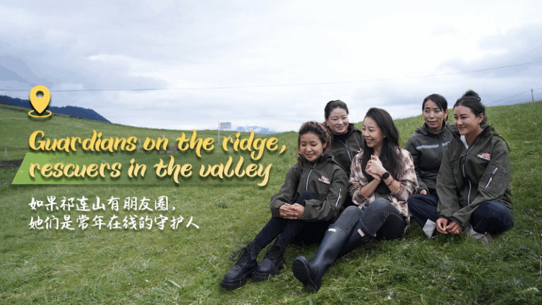 Meet the Women Protecting Qilian’s Highlands Meet_the_Women_Protecting_Qilian_s_Highlands video poster