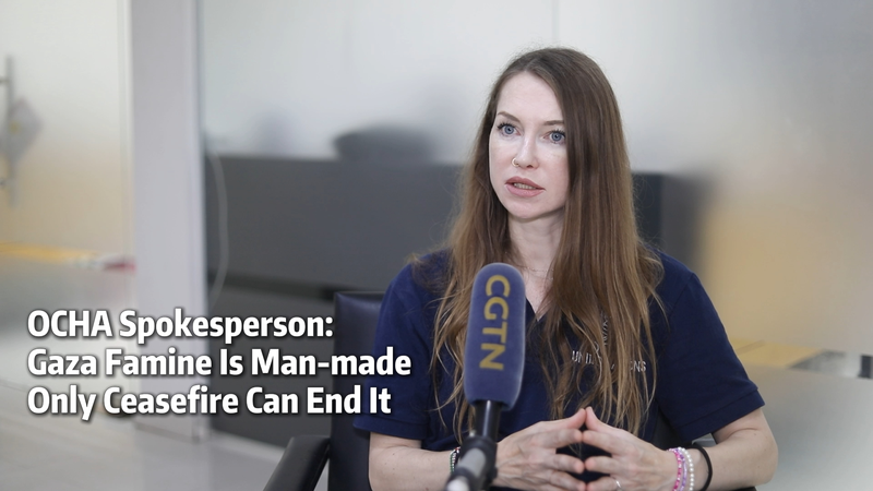 OCHA: Gaza Famine Is Man-Made, Ceasefire Needed Now OCHA__Gaza_Famine_Is_Man_Made__Ceasefire_Needed_Now video poster