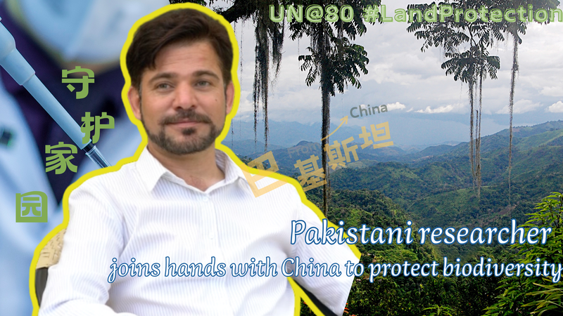 Pakistani Researcher Teams Up with China to Protect Xishuangbanna’s Biodiversity Pakistani_Researcher_Teams_Up_with_China_to_Protect_Xishuangbanna_s_Biodiversity video poster