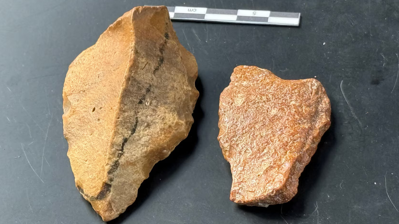 Possible Oldest Human Artefacts Discovered in Indonesia Possible_Oldest_Human_Artefacts_Discovered_in_Indonesia
