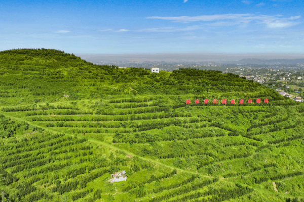 Premier Li Qiang Champions Eco-Civilization in New Era Premier_Li_Qiang_Champions_Eco_Civilization_in_New_Era