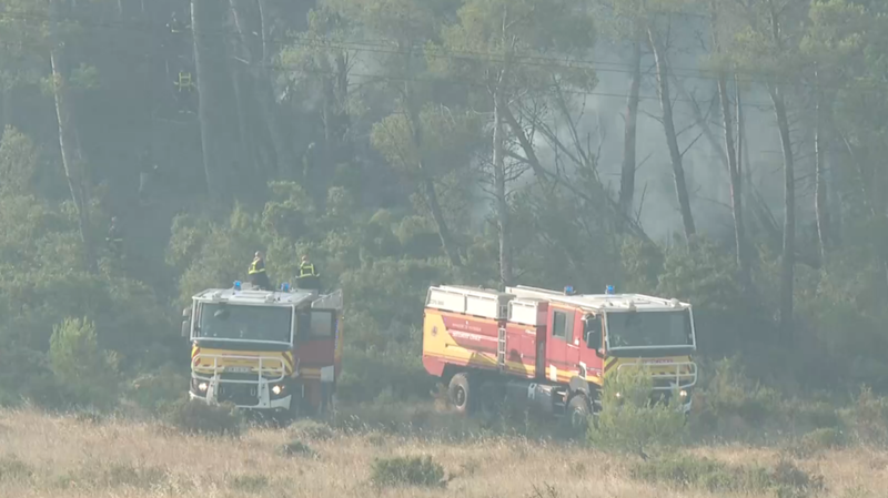 Massive Wildfire Rages in Southern France’s Aude: Residents Flee 🏠🔥 Massive Wildfire Rages in Southern France's Aude: Residents Flee 🏠🔥 video poster