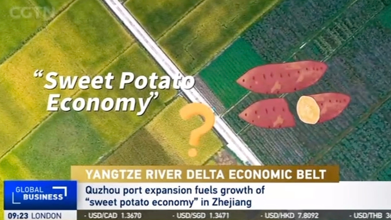 Quzhou’s Sweet Potato Boom: Harvesting Growth in Zhejiang Quzhou_s_Sweet_Potato_Boom__Harvesting_Growth_in_Zhejiang video poster