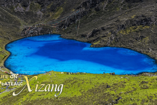 Gurula Co: Xizang’s Heart-Shaped Lake Goes Viral Gurula Co: Xizang’s Heart-Shaped Lake Goes Viral