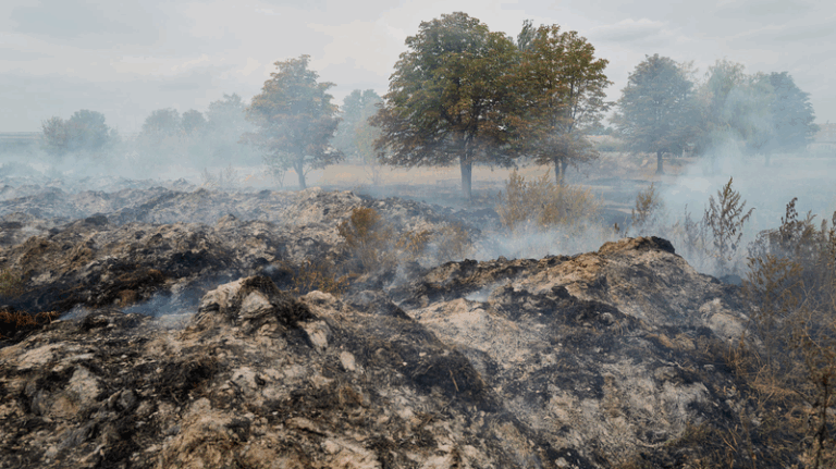 Russian_Forces_Advance_in_Donetsk_as_South_Africa_Urges_Peace_Summit
