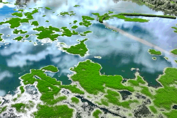 Scientists Decode Secrets of Xizang’s Lalu Wetland Scientists_Decode_Secrets_of_Xizang_s_Lalu_Wetland video poster