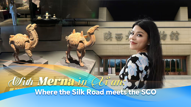 Silk Road Meets SCO: Xi’an Museum Bridges Ancient and Modern Ties Silk_Road_Meets_SCO__Xi_an_Museum_Bridges_Ancient_and_Modern_Ties video poster