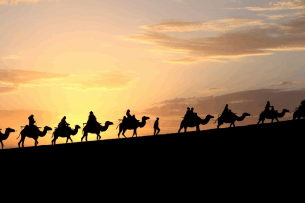 Silk Roads Spotlight: How SCO Nations Join Forces to Protect Our Shared Heritage Silk_Roads_Spotlight__How_SCO_Nations_Join_Forces_to_Protect_Our_Shared_Heritage