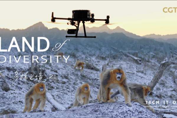 Smart Monkeys, Smarter Tech: Monkey Face ID Breakthrough Smart_Monkeys__Smarter_Tech__Monkey_Face_ID_Breakthrough video poster