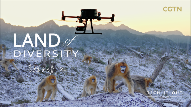 Smart_Monkeys__Smarter_Tech__Monkey_Face_ID_Breakthrough video poster