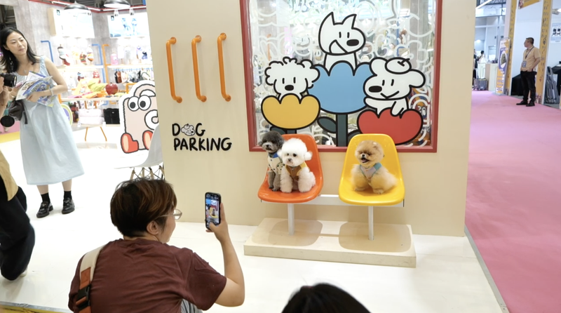 Asia’s Largest Fluffy Pet Show Kicks Off in Shanghai Asia’s Largest Fluffy Pet Show Kicks Off in Shanghai video poster