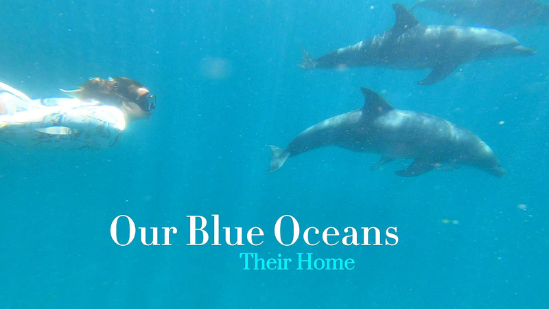 UN@80: Kenyan-British Artist Megan White’s Plea for Blue Oceans UN@80: Kenyan-British Artist Megan White’s Plea for Blue Oceans video poster