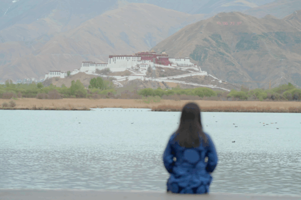 Tibetan Educator Dechen Yudron’s Journey to Boost Equality at Home Tibetan_Educator_Dechen_Yudron_s_Journey_to_Boost_Equality_at_Home video poster