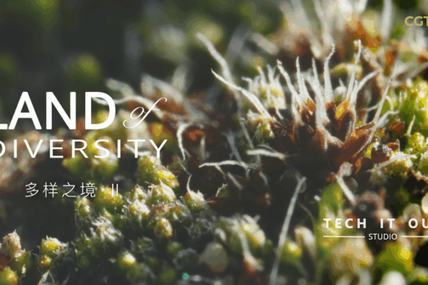 Tiny but Mighty: Syntrichia caninervis, the Desert’s Toughest Moss Tiny_but_Mighty__Syntrichia_caninervis__the_Desert_s_Toughest_Moss video poster