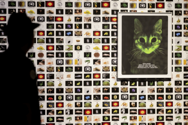 Tsinghua Art Exhibit Merges Humans, Nature & Tech Tsinghua_Art_Exhibit_Merges_Humans__Nature___Tech