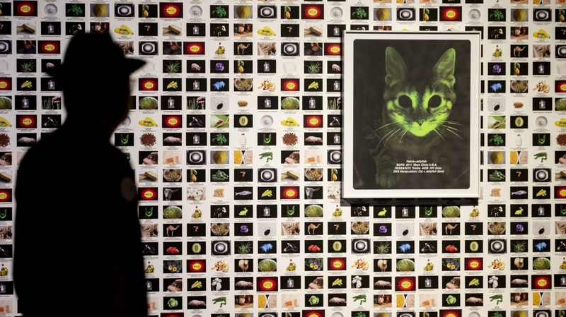 Tsinghua_Art_Exhibit_Merges_Humans__Nature___Tech - News for amigos, by amigos Tsinghua_Art_Exhibit_Merges_Humans__Nature___Tech