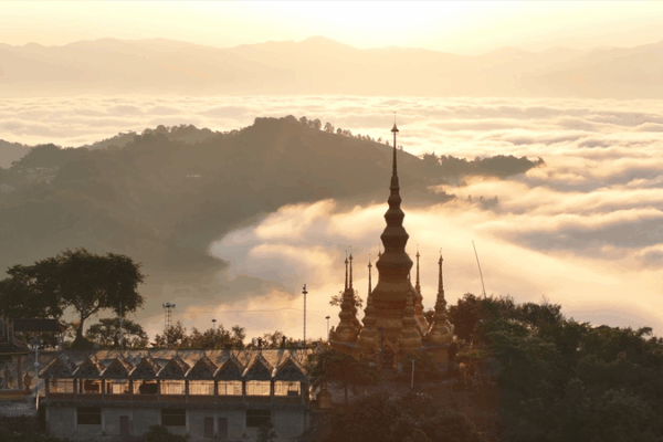 UNESCO Celebrates China’s Roasted Tea Heritage UNESCO_Celebrates_China_s_Roasted_Tea_Heritage